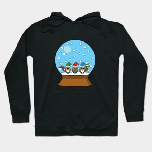 Snow Globe with Three Gnome Owls Hoodie